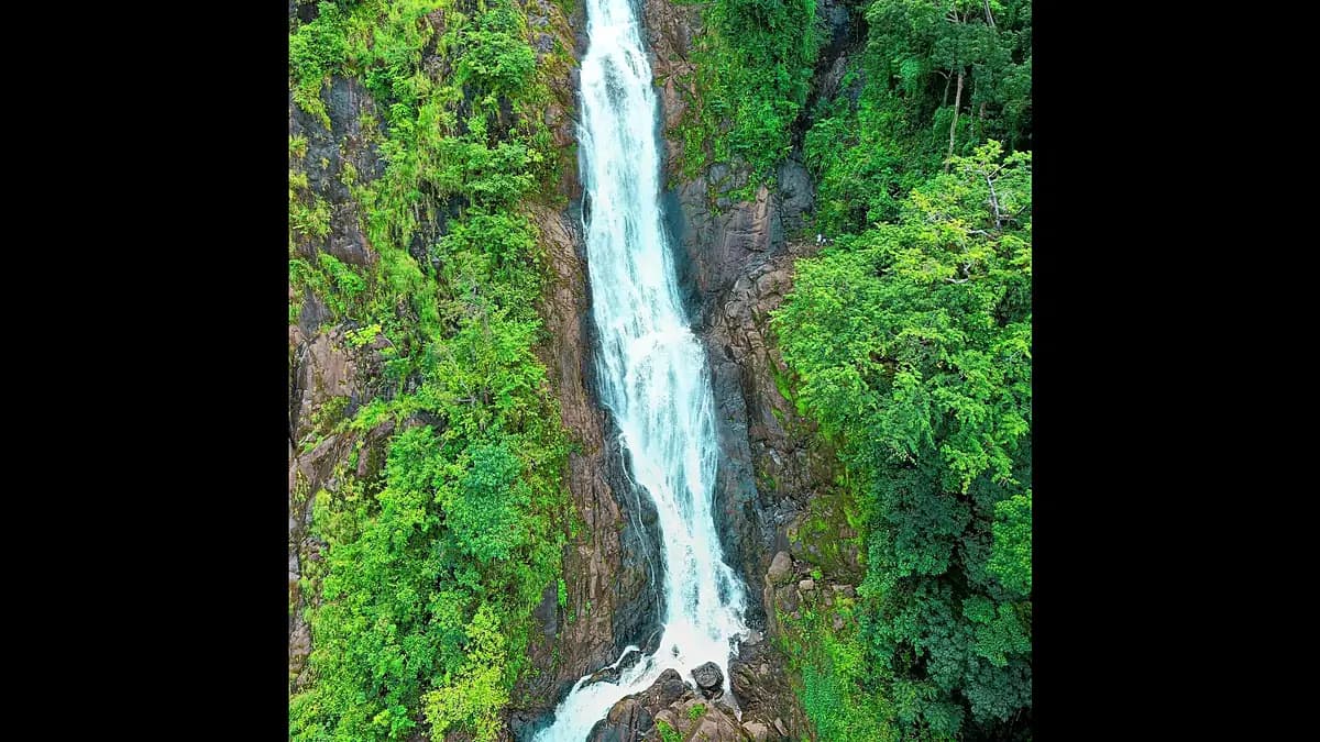 Cataratas Bijagual & Pura Vida